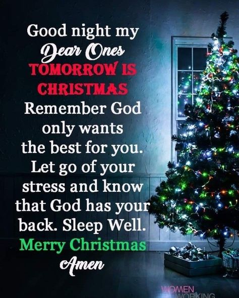 Good Afternoon Christmas, Christmas Eve Quotes, Good Night Family, Christmas Greetings Quotes, December Quotes, Christmas Thoughts, Evening Quotes, Christmas Prayer, Goodnight Quotes