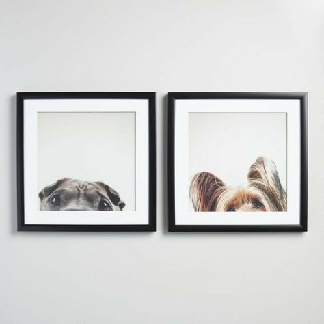 Dog Rooms, Shelter Animals, Dog Decor, Dog Photography, Diy Stuffed Animals, Frame Set, Diy Dog Stuff, World Market, Animal Shelter