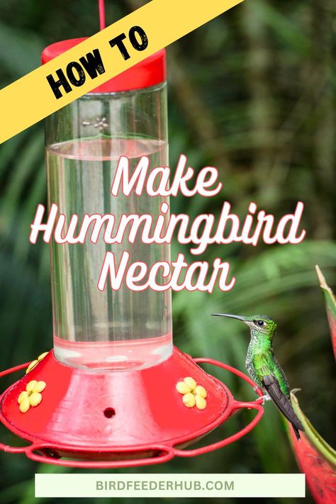 Ready to attract hummingbirds to your garden? 🌺 Whip up some homemade nectar and watch these little jewels flock to your feeders! It’s super easy—just a few simple ingredients and you're set. Learn the best recipe for hummingbird nectar, plus tips on keeping your feeders clean and safe. Get ready for a front-row seat to some amazing hummingbird action! 🕊️🍯 Recipe For Hummingbird Nectar, Hummingbird Feeder Recipe, Make Hummingbird Food, Feeding Hummingbirds, Homemade Hummingbird Food, Hummingbird Nectar Recipe, Hummingbird Food, Hummingbird Nectar, Attract Hummingbirds