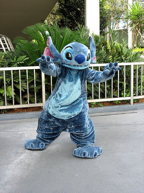 *STITCH ~ Lilo & Stitch Real Life Disney Characters, Stitch Things, Disney Characters Costumes, Disney World Characters, Stitch Stuff, Disney Face Characters, Cute Disney Pictures, Lilo Y Stitch, Disney Dreams