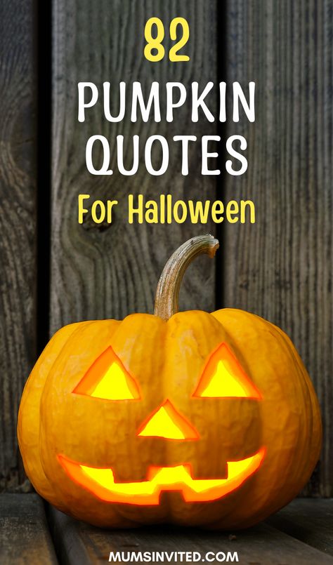 This round up of aesthetic pumpkin quotes has the perfect blend of cute and funny sayings to make kids smile. From happy pumpkin patch quotes to Halloween-inspired pumpkin captions perfect for Instagram. , These pumpkin season quotes remind us to savor the essence of the fall season. Save these cute pumpkin quotes and sayings to inspire you in the mornings or while carving or smashing pumpkins. These pumpkin quotes for babies are perfect to celebrate Halloween or even Thanksgiving. Pumpkin Sayings, Carving Quotes, Lantern Quotes, Patch Quotes, Pumpkin Quotes, Scary Quotes, Inspirational Good Morning Messages, Season Quotes, Short Instagram Quotes