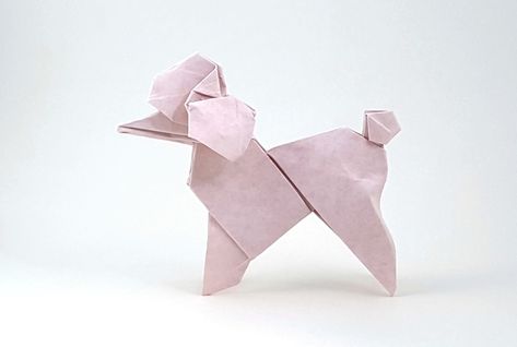 Origami Poodle by Roman Diaz Folded from a square of Astroparche Crepe Embossed Texture paper by Gilad Aharoni on giladorigami.com Origami Japan, Poodle Tattoo, Alsatian Dog, Origami Book, Letter Folding, Creative Origami, Flora Flowers, Book Origami, Shoe Ideas