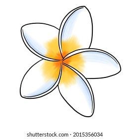 Hawaii Flower Drawing Simple, Plumeria Drawing Sketches, Plumeria Drawing Step By Step, Tiare Flower Drawing, How To Draw A Plumeria, Tropical Flower Drawing Easy, Hawaiian Flower Drawing Easy, Hawian Flowers Drawings, Beach Flowers Drawing