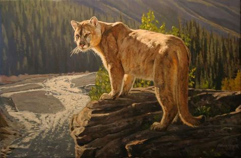 Cougar painting by Bruce Miller Greg Beecham, Wildlife Landscape, North American Wildlife, Big Cats Art, West Art, Wildlife Paintings, Mountain Lion, Wildlife Artists, Lion Art