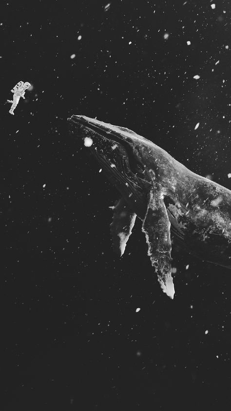 Exo Sing For You, Wallpaper Whatsapp, Whatsapp Background, Space Whale, Sing For You, Graphisches Design, A Whale, Iphone Wallpaper Tumblr Aesthetic, Wallpaper Space