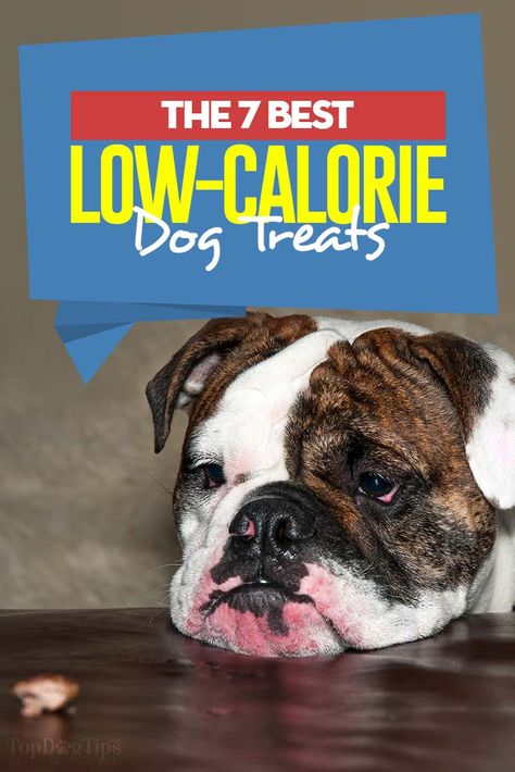 Low Calorie Treats For Dogs, Low Cal Dog Treats, Low Calorie Dog Treats Homemade, Low Calorie Dog Food, Low Calorie Dog Treats, Dog Treats For Training, Low Fat Dog Treats, Dog Bday, Dog Training Treats Recipe