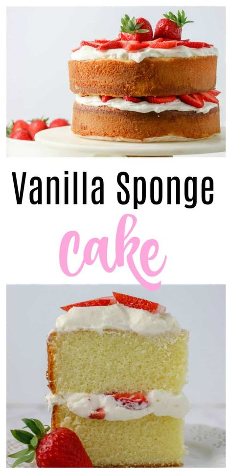 Vanilla Sponge Cake Recipe, Easy Sponge Cake Recipe, Whipped Cream And Strawberries, Italian Sponge Cake, Cream And Strawberries, Cake With Whipped Cream, Sponge Cake Recipe, Vanilla Sponge Cake, Brownie Desserts