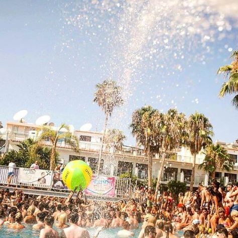 napa spray pool party Vip Entrance, Champagne Spray, Champagne Beach, Artists Performing, Nissi Beach, Ayia Napa Cyprus, Board Night, Napa Trip, 2022 Goals