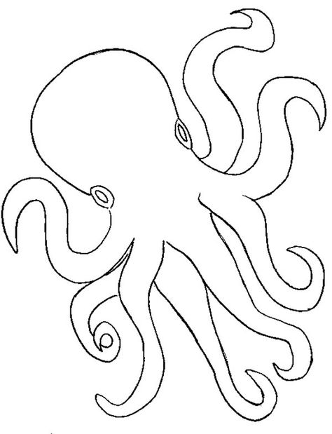 Octopus, : Octopus Outline Coloring Page                                                                                                                                                     More Octopus Outline, Octopus Coloring, Octopus Colors, Octopus Coloring Page, Jellyfish Jewelry, Jellyfish Illustration, Jellyfish Photography, Jellyfish Decorations, Animal Outline