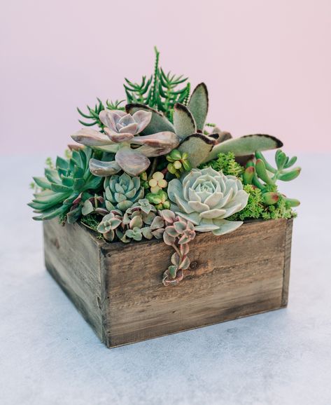 Succulent table decor