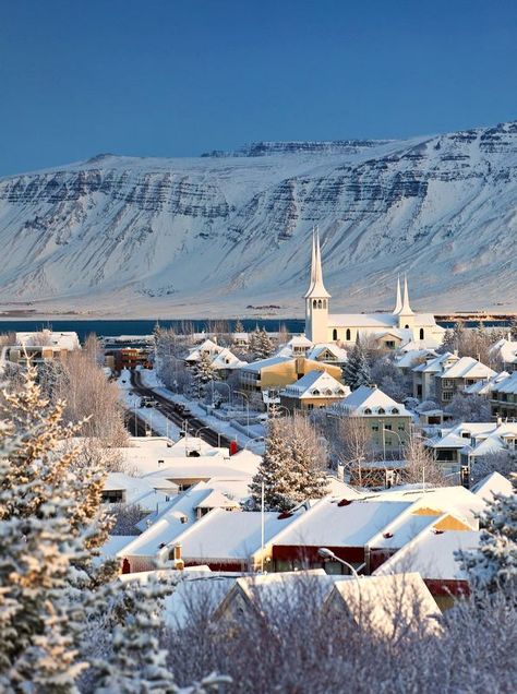 https://flic.kr/p/chBuyo | Winter, Reykjavik, Iceland Iceland Island, Iceland Winter, Iceland Reykjavik, Reykjavik Iceland, Visit Iceland, Iceland Travel, Reykjavik, Pretty Places, Scandinavia