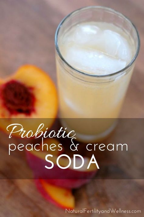 Fermented Peaches, Ginger Bug, Homemade Soda, Probiotic Drinks, Water Kefir, Fermentation Recipes, Soda Recipe, Natural Fertility, Fermented Drink