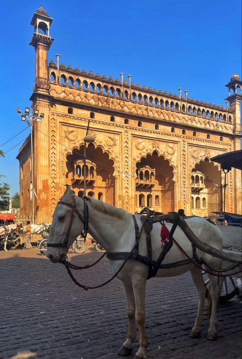 Lucknow 
India 
Architecture 
Horses
Travel 
Nomad 
Architecture 
Awadh 
Nawab Lucknow Pics, Bara Imambara Lucknow, Lucknow Aesthetic, Imambara Lucknow, Brown Girl Aesthetic, Travel Pose, Male Models Poses, Computer Basic, Asian Architecture