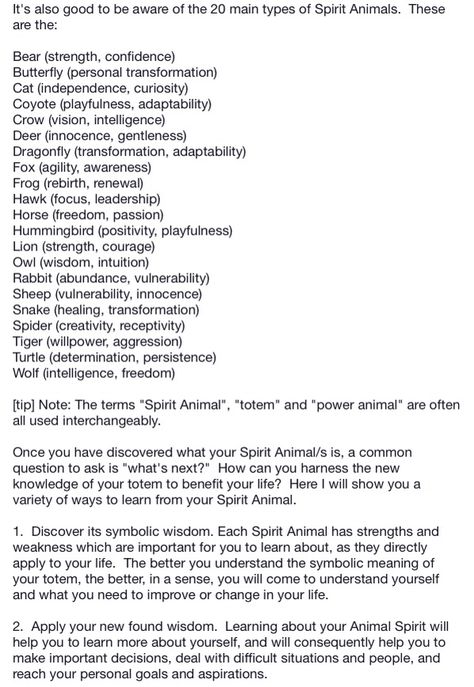 To discover your spirit guide...Repinner's note: If you don't find your animal in this list, don't fret, there are more animals out there that are spirit animals/totems/power animals that are not listed here. Animal Witchcraft, Animal Familiars Witch, Witch Familiar Animals, Witchcraft Animal Meanings, Witch Familiar Animals List, Writing Inspiration Characters, Find Your Spirit Animal, Witches Familiar, Spirit Animal Totem