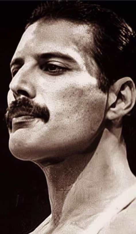 Freddie Mercury Quotes, Fred Mercury, Mercury Black, Mr Fahrenheit, Mr Bad, Queen Aesthetic, Legendary Singers, Freddy Mercury, Sweet Lover