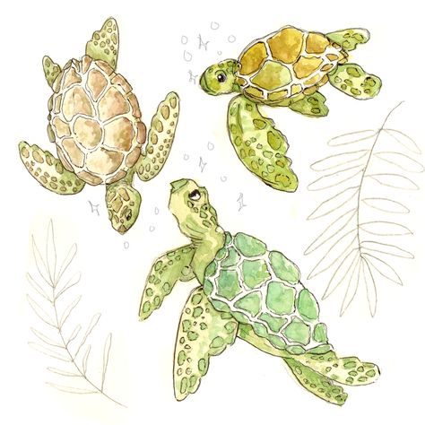 Cute adorable watercolor sea turtle stickers and more on snolisify's redbubble. Check out other animal, watercolor designs!! Turtle Aesthetic Drawing, Sea Turtle Doodle, Turtle Mural, Watercolor Turtle, Turtles Swimming, Watercolor Sea Turtle, Turtle Illustration, Art Jellyfish, Turtle Sticker