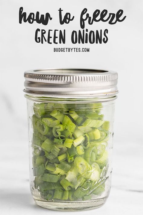 Learn how to store and freeze green onions to reduce waste, save money, and always have fresh green onions on hand for cooking! BudgetBytes.com Freezing Green Onions, What To Do With Green Onions, Freeze Green Onions, Green Onion Recipes, Store Green Onions, Grow From Scraps, Green Onions Recipes, Freezing Vegetables, Freezing Food