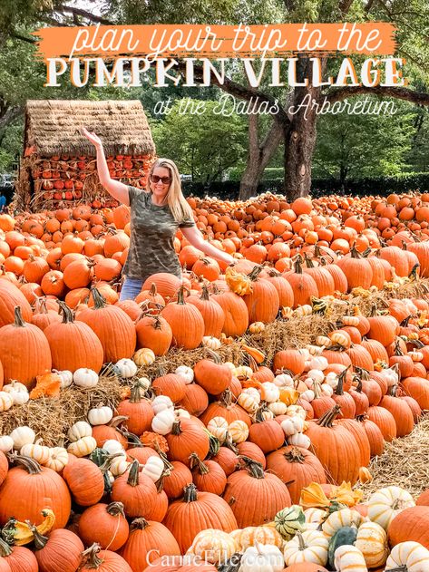 Fall In Dallas Texas, Pumpkin Village, Dallas Murals, Dallas Travel, Dallas Zoo, Texas Vacation, Visit Dallas, Travel Texas, Texas Places