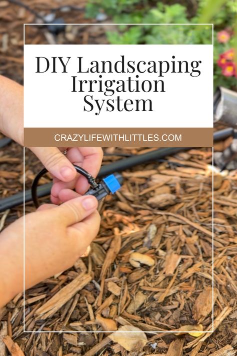 Transform Your Garden with Ease: Step-by-Step Guide to Installing Drip Irrigation for Lush Landscaping - Diy Irrigation, Irrigation System Diy, Irrigation Diy, Drip Irrigation Diy, Drip Irrigation Kit, Lush Landscaping, Drip System, Landscape Materials, Outdoor Diy Projects