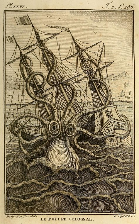 Vintage Kraken Giant Squid Sea Monster Ship Kraken Sea Monster, Octopus Art Print, Octopus Illustration, Art Plage, Vintage Octopus, Octopus Wall Art, Kunst Tattoos, Sea Life Art, Octopus Print