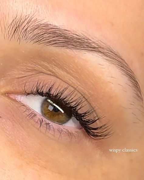 Some lash inspo for the girls who love lashes but also want to keep it natural ❤️🌹 Our Rose Signature Set and Light/Wispy Volume Set are two of our most popular services for those who are looking for the perfect balance between a natural look and a full, dark lash line. For those looking for something lighter, Classics are perfect. Wispy Classics provide extra depth and dimension while still being lightweight and natural. Finding the right lash artist to achieve your lash goals is so imp... Eyelash Extensions Styles Natural Simple, Whiskey Lashes, Wispy Set Lashes, Light Wispy Lashes, Classic Full Set Lashes, Wispy Natural Eyelash Extensions, Wispy Classic Lash Extensions, Subtle Lashes, Classic Lashes Extensions