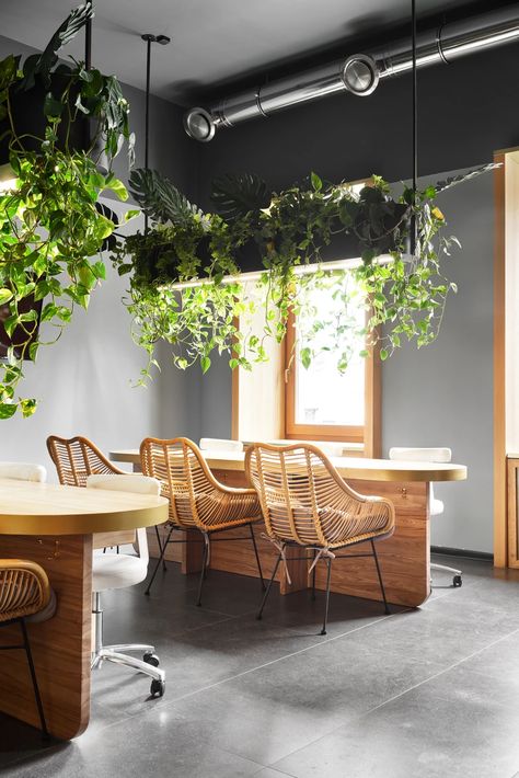 Jungle | ZE|Workroom Rattan Interior, Honed Granite Countertops, Plant Studio, Deco Spa, Nail Salon Interior Design, Nail Salon Interior, Spa Interior Design, Nail Salon Decor, Spa Interior