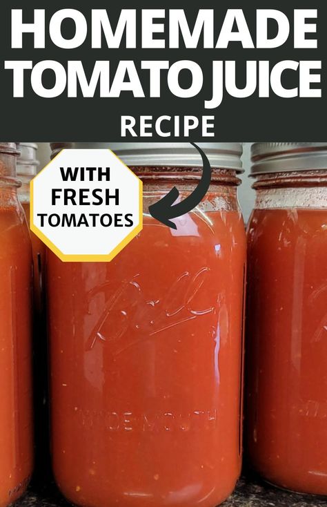 quart jar of canned tomato juice Easy Tomato Juice Recipe, Fresh Tomato Juice Recipe, Canning Tomato Juice, Homemade Tomato Juice, Canning Homemade Salsa, Recipe Using Tomatoes, Tomato Juice Recipes, Using Fresh Tomatoes, Salsa Canning Recipes