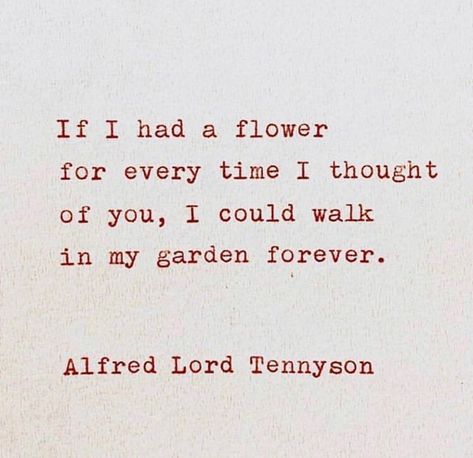 Flower Poem, About Love Quotes, The Notebook Quotes, Thinking Of You Quotes, Chasing Rainbows, Forever Quotes, Forever Flowers, Garden Quotes, Thoughts Of You