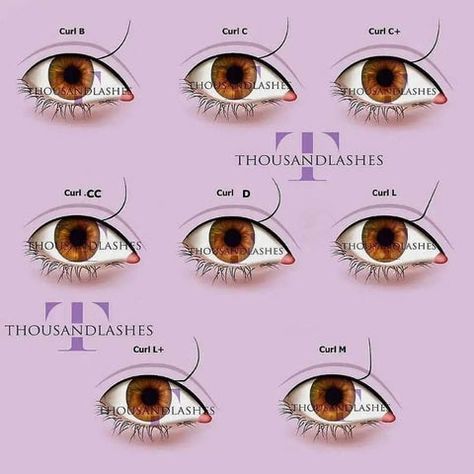 Classic Eyelash Extensions: Tips And Tricks Lash Curls, Lash Tips, Lash Mapping, Lash Tweezers, Lash Extension Supplies, Different Curls, Velour Lashes, Cat Eye Lash, Lash Extensions Styles