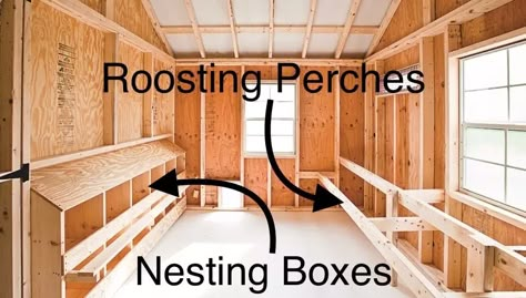 Inside a Chicken Coop | 8 Important Interior Features Inside A Chicken Coop, Inside Chicken Coop, Chicken Roost, Cute Chicken Coops, Walk In Chicken Coop, Easy Chicken Coop, Chicken Shed, Chicken Barn, Clean Chicken