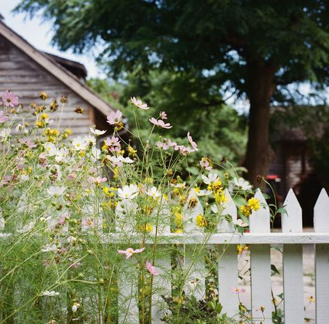 Climbing Flowers, Privacy Fence Designs, Cottage Shabby Chic, Backyard Privacy, White Picket Fence, Style Cottage, Marco Island, Fairy Garden Diy, Natural Garden