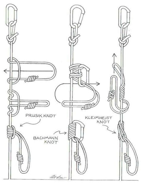 Prusik Knot, Climbing Technique, Climbing Knots, Types Of Climbing, 1000 Lifehacks, Camping Knots, Climbing Equipment, Knots Guide, Survival Knots