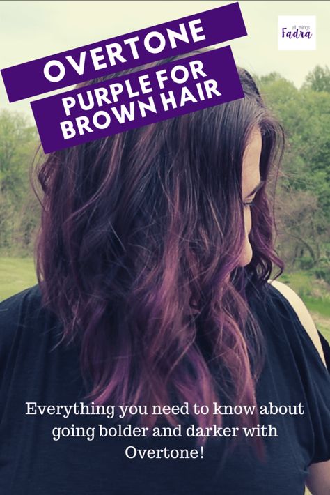 Purple Overtone On Brown Hair, Dark Lavender Hair Color, Overtone Purple On Brown Hair, Subtle Purple Highlights In Brown Hair, Subtle Purple Hair Brunettes, Purple Tinted Brown Hair, Brunette Purple Hair, Subtle Purple Hair, Ombre Hair At Home