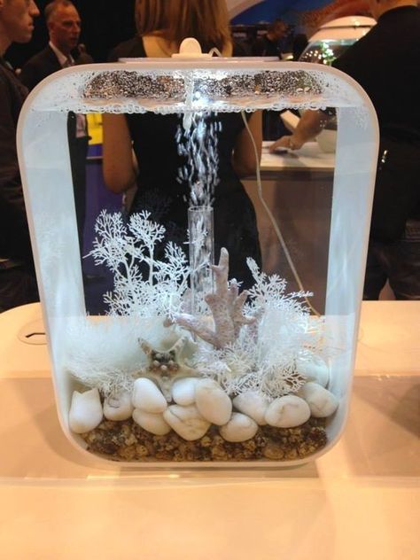 Biorb Fish Tank Ideas, Biorb Aquarium Ideas, White Fish Tank Decor, Small Fish Tank Ideas Bedrooms, White Fish Tank, White Aquarium, Fish Tank Ideas, Fish Tank Themes, Small Fish Tanks