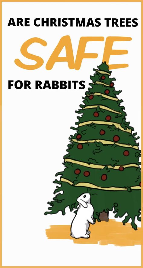 Bunny Proof Christmas Tree, Indoor Bunny House, Bunny Tips, Rabbit Anatomy, Diy Bunny Cage, Rabbit Health, Rabbit Facts, Rabbit Behavior, Rabbit Habitat