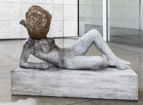 Pierre Huyghe | LACMA Pierre Huyghe, Robert Smithson, Exhibition Models, Animal Study, Natural Selection, Charles Darwin, Social Engagement, Land Art, Art History