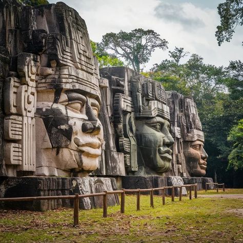 Historic World | 🔘 Olmec Heads 🔘  | Facebook Olmec Heads, Olmec Civilization, Lush Green Forest, Green Forest, Ancient Cultures, Us History, Lush Green, Ants, Around The Worlds