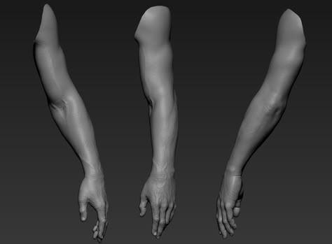 Arm 3d Reference, Arm References, Zbrush Anatomy, Body Templates, Arm Anatomy, Human Anatomy For Artists, Arm Model, 3d Anatomy, How To Render