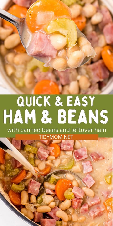 Basic Ham And Bean Soup, Easy Ham And Bean Soup With Canned Beans, Ham And Canned Bean Soup Recipes, Ham And Beans With Canned Beans, Pressure Cooker Ham And Bean Soup, Ham And White Bean Soup Recipes, Ham And Beans Crockpot Recipes Easy, Bean Soup With Ham Bone Crockpot, Pinto Bean And Ham Soup