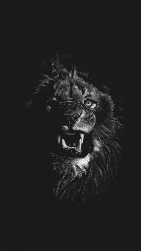 Blue Eyes Lion iPhone Wallpaper - iPhone Wallpapers : iPhone Wallpapers Angry Eagle Wallpaper Hd, Angry Tiger Wallpaper Hd, Angry Lion Hd Wallpaper, Angry Lion Wallpaper, Eagle Wallpaper Iphone, Black Lion Wallpaper, Eagle Wallpaper Hd, Lion Iphone Wallpaper, Mobile Hacks