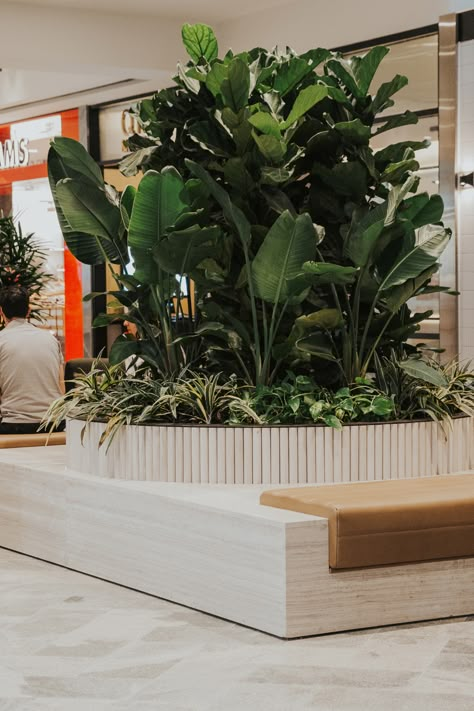 The @westfieldknox redevelopment has recently been completed and we are thrilled to have supplied loose furniture + waste bins, as well as high-end custom joinery pieces featuring classic travertine vein cut slabs, solid timber dowel cladding, luxury leather upholstery and integrated charge points!⁠ ⁠ View the full project on our website.⁠ Hospital Landscape, Timber Planters, Warehouse Interior, Vein Cut, Cafe Display, Interior Design Plants, Planter Bench, Gatwick Airport, Custom Planters