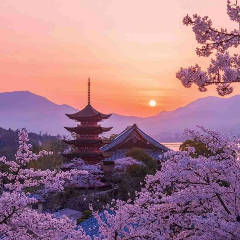 Beautiful Japan Scenery, Japan Village Aesthetic, Japan Cherry Blossom Aesthetic, Japanese Nature Aesthetic, Stormcutter Oc, Sakura Season Japan, Cherry Blossom In Korea, Japanese Landscape Photography, Tokyo Cherry Blossom