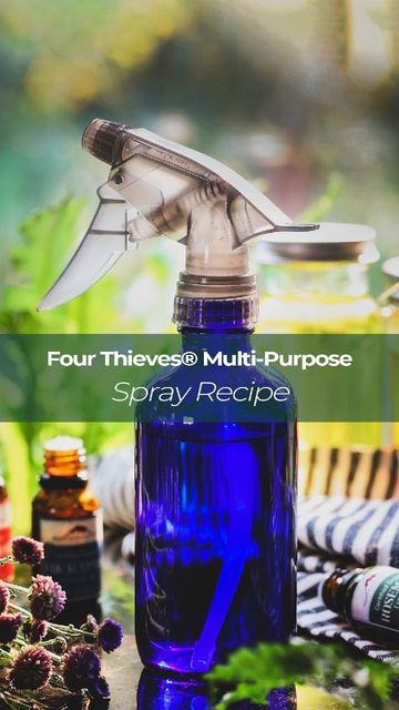 Cleaning Supply Closet, Multi Purpose Cleaner, Thieves Spray, Supply Closet, Natural Cleaning Supplies, Thieves Cleaner, Natural Cleaning Solutions, Natural Cleaning Recipes, Thieves Essential Oil