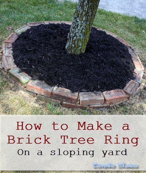 how to make a brick tree ring boarder in a sloping yard Tree Brick Border, Diy Tree Ring Landscape, How To Landscape Around A Tree, Paver Boarder, Around Tree Landscaping, Plants Around Trees, Tree Border Ideas, Landscape Around Tree, Garden Around Tree