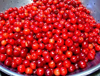 Rurification: Cherry Pie Filling with Perma Flo Mixed Berry Pie Filling, Berry Pie Filling, Sour Cherry Pie, Montmorency Cherry, Mixed Berry Pie, Sour Cherries, Homemade Vanilla Extract, Cherry Jam, Berry Pie