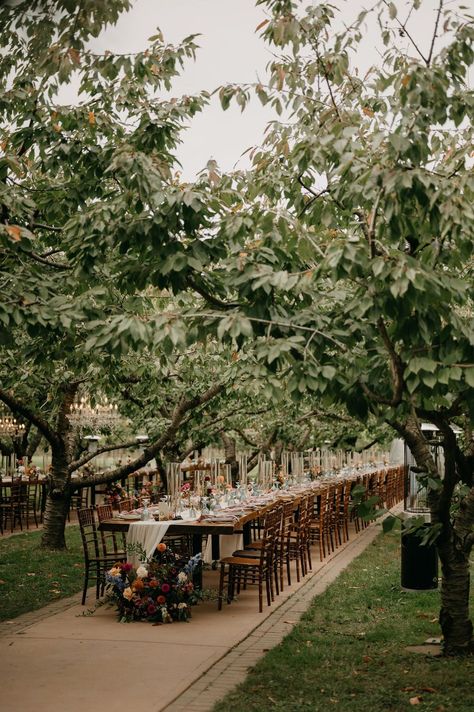 Al Fresco dining in the Cherry Trees art Gracewood Estates at Kurtz Orchard. Outdoor dining reception at Kurtz | Lindsay Plank Events, Niagara and Toronto Wedding. Outdoor dining inspiration, Tuscany inspired wedding in Ontario, live edge harvest tables for outdoor dining, jewel toned wedding colour palette, niagara on the lake wedding inspiration, tapered candles on harvest tables, bold coloured wedding inspiration, Kurtz marketplace wedding in Niagara on the Lake. Kurtz Orchard Wedding, Pecan Orchard Wedding, Orchard Wedding Reception, Tuscany Inspired Wedding, Niagara On The Lake Wedding, Wedding Core, Lake Wedding Inspiration, Apple Orchard Wedding, Jewel Toned Wedding