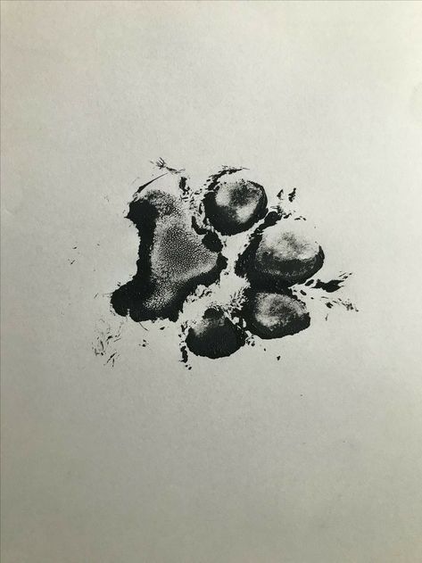 Paw Dog Tattoo, Wolf Paw Tattoo, Black Dog Tattoo, Dog Paw Tattoo Ideas, Cat Paw Tattoo, Paw Tattoo Ideas, Paw Print Tattoo Dog, Wolf Paw Tattoos, Leo Zodiac Tattoos