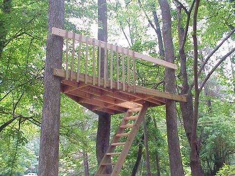 tree house floor | ... 2004 After some work, the tree house is off the ground - not too bad Kids Tree Forts, Tree House Deck, Treehouse Design, Simple Tree House, Tree Deck, Property Ideas, Tree House Plans, Tree Fort, Tree House Diy