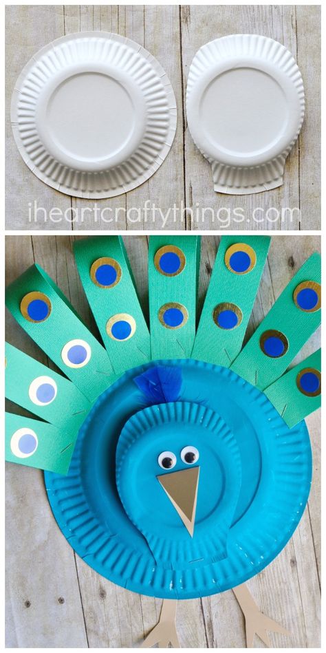 paper-plate-peacock-craft-3 Peacock For Kids, Paper Peacock, Zoo Animal Crafts, Peacock Crafts, Wall Hanging Ideas, Paper Plate Crafts For Kids, Travel Crafts, Hanging Ideas, Paper Wall Hanging