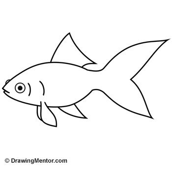 Dip your toe in the water and learn how to draw a goldfish quickly and easily with this 7-step tutorial for beginners. Click here to get started. How To Draw A Goldfish, Drawing Clipart, Drawing For Beginners, Learn How To Draw, Wrapping Ideas, Underarmor Logo, Learn To Draw, Goldfish, Easy Drawings